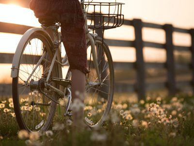 Radfahren / Wandern