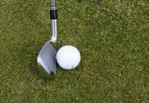 Read more about the article Golfing